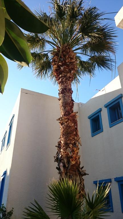 Amazones Villas Apartments Hersonissos  Dış mekan fotoğraf